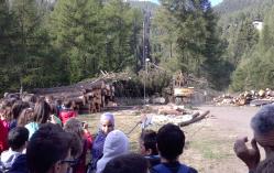 cantiere boschivo di Oga