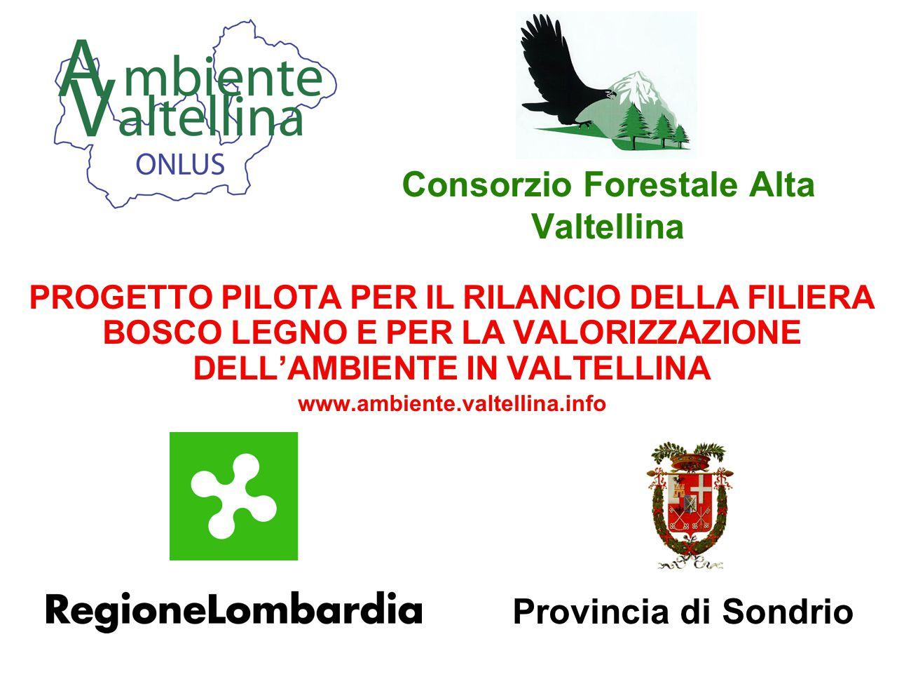 Progetto pilota per il rilancio della filiera bosco legno