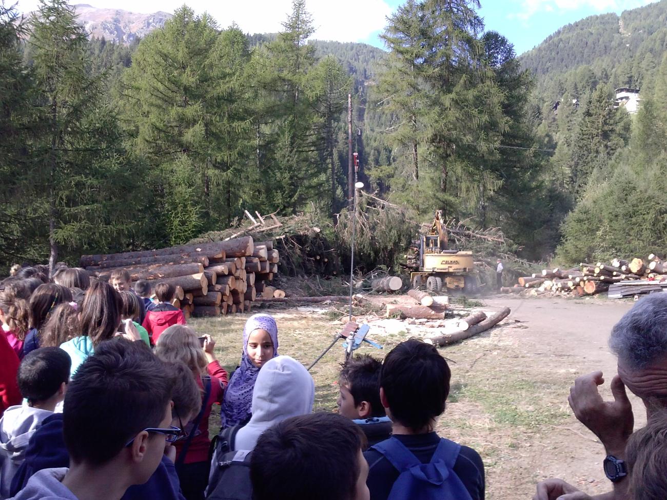 cantiere boschivo di Oga